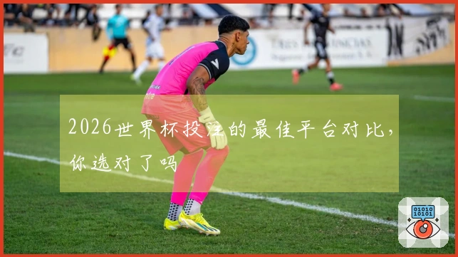 2026世界杯投注的最佳平台对比，你选对了吗
