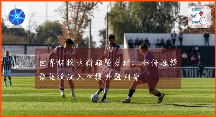 世界杯投注新趋势分析：如何选择最佳投注入口提升盈利率