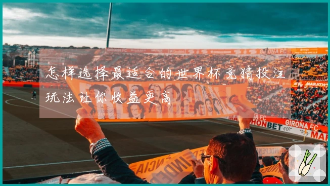 怎样选择最适合的世界杯竞猜投注玩法让你收益更高