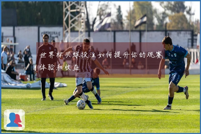 世界杯买球投注如何提升你的观赛体验和收益