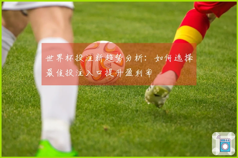 世界杯投注新趋势分析：如何选择最佳投注入口提升盈利率